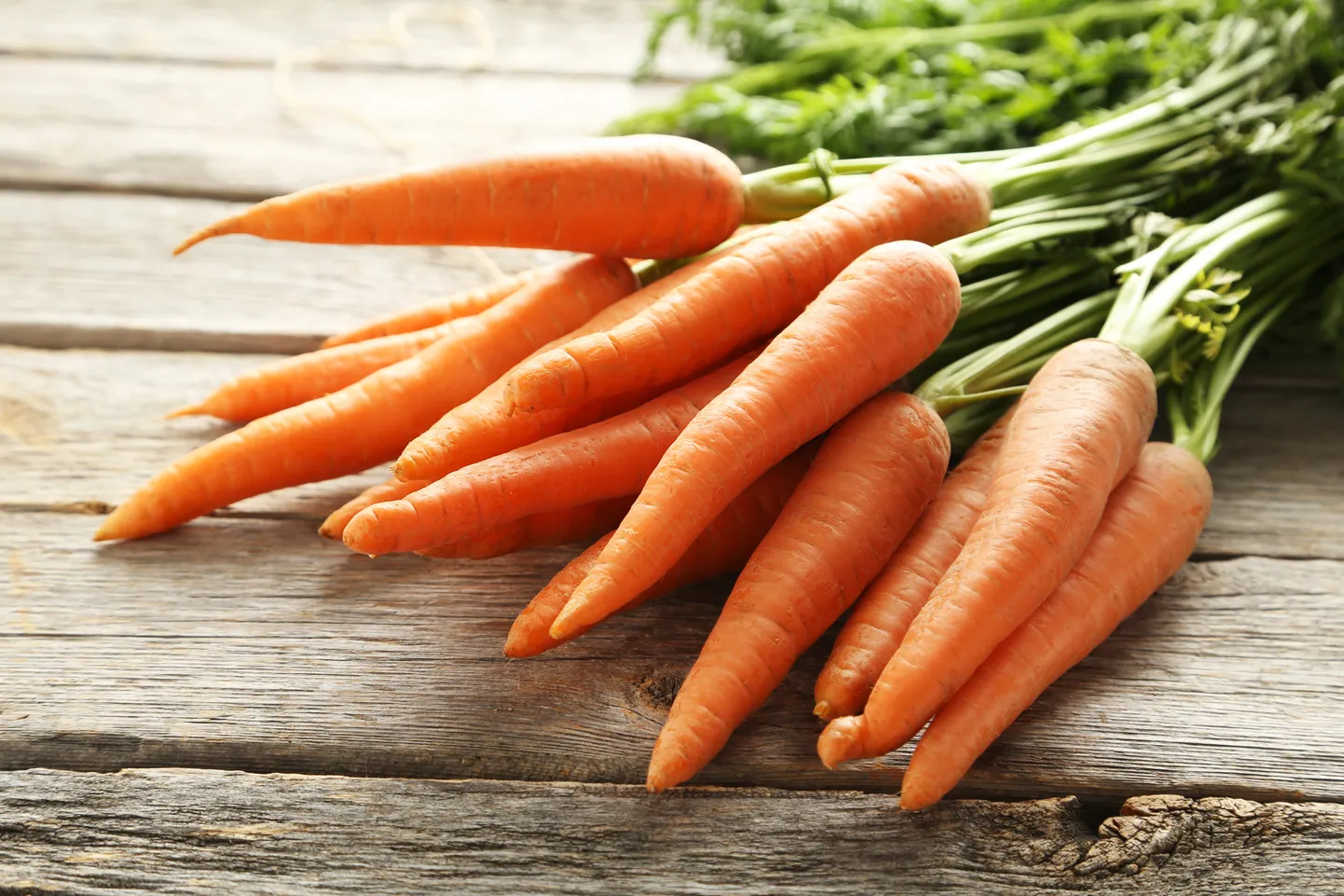 Морковь. Иллюстративное фото