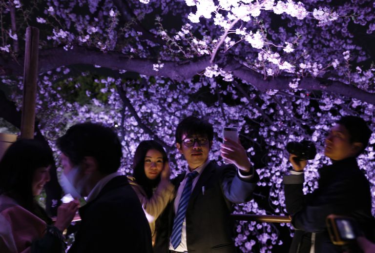 Romantika Jaapanis koos õitsvate kirsside ja selfidega