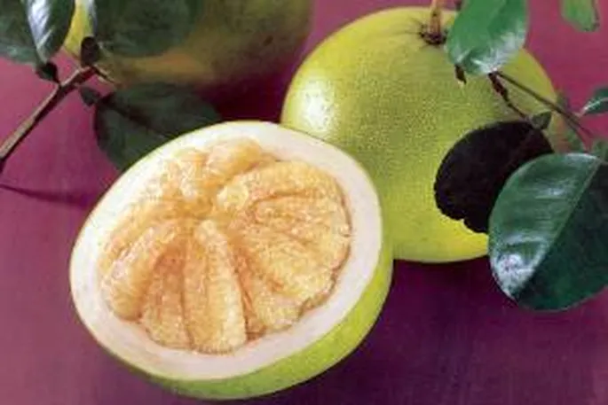 pumella