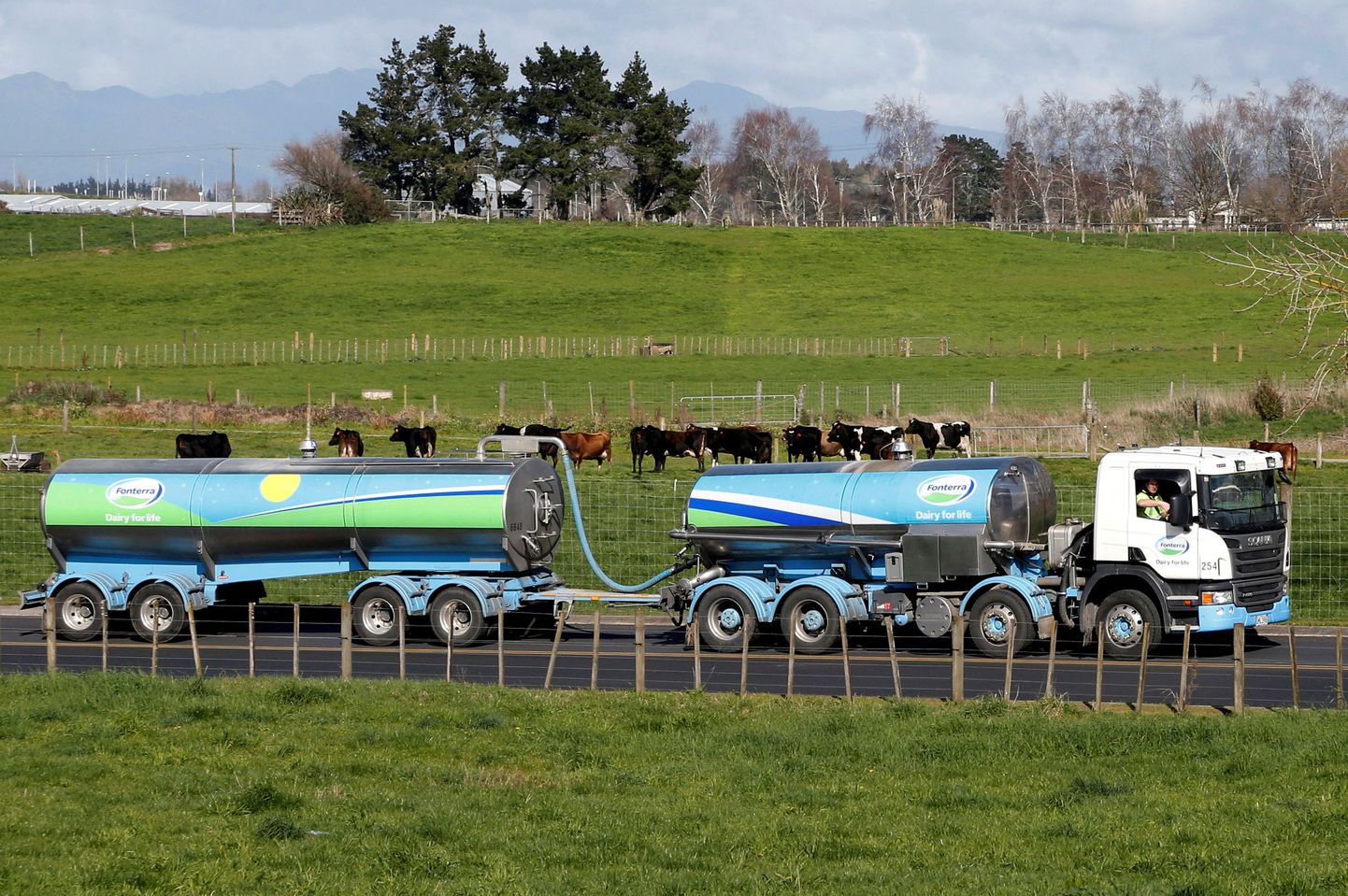Uus-Meremaa Fonterra piimaautod