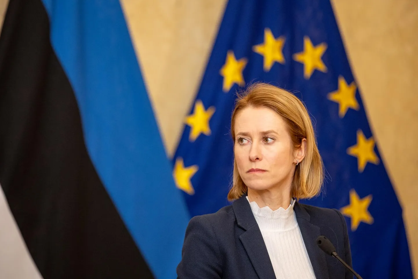 Peaministri rõhutas, et NATO-ga liitumine oli õige ja vajalik otsus.