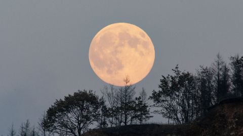 PÄEVAHOROSKOOP ⟩ 26. september: Kaljukitsel on kodu ja pereasjad tugevate emotsioonide keerises, Vähil valgustab täiskuu pikaajalisi sihte
