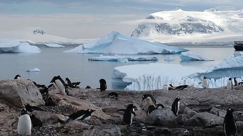 KURIOOSUM ⟩ Vaata, kuidas ööl vastu pühapäeva võetakse Antarktis piiramisrõngasse
