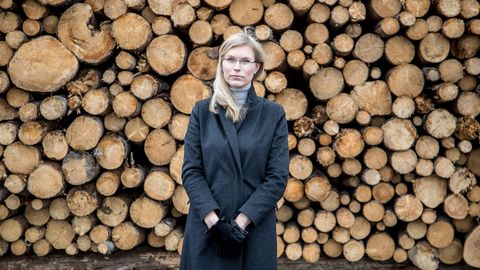 Eesti firma digiteerib Leedu metsandust