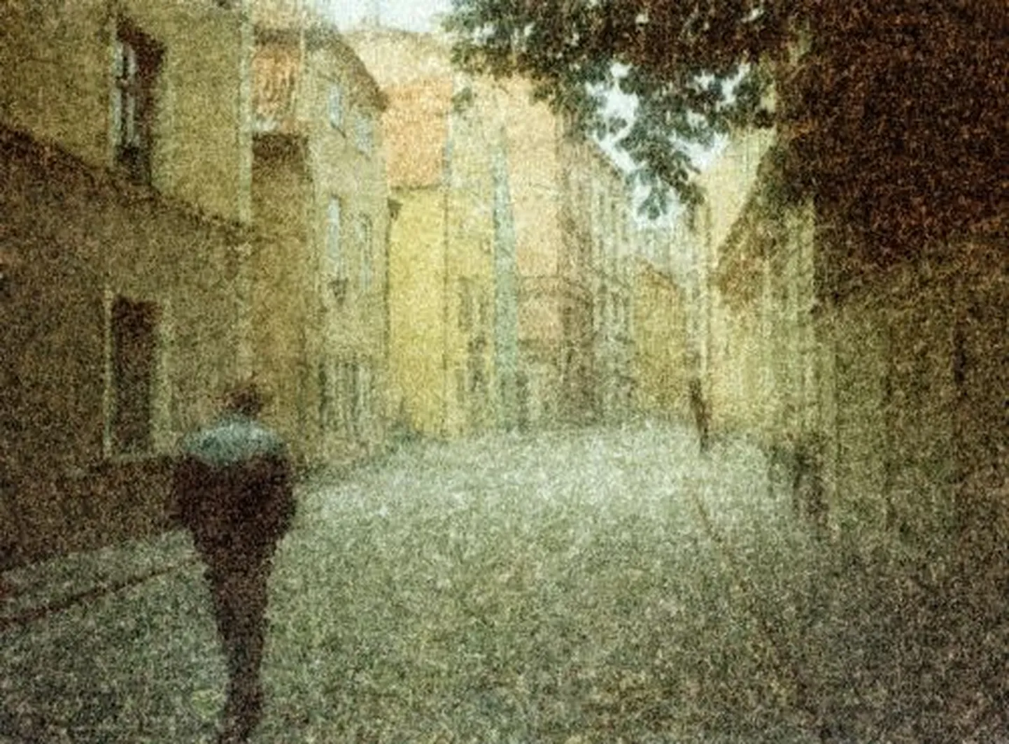 Raksta foto