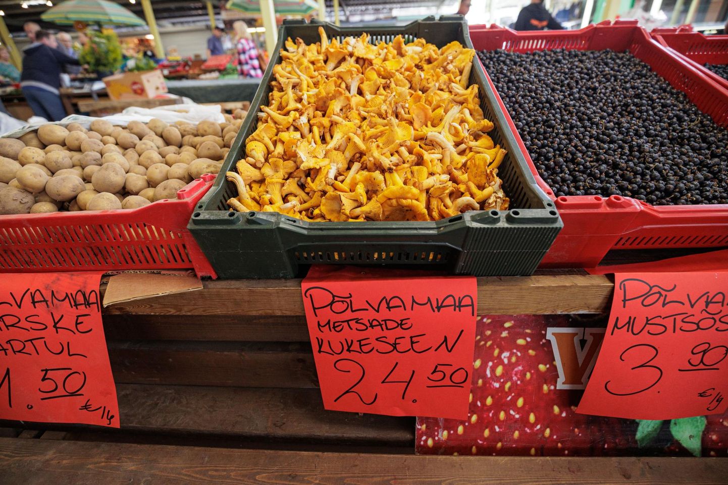 На Центральном рынке цены на лисички достигали 28 евро за килограмм.
