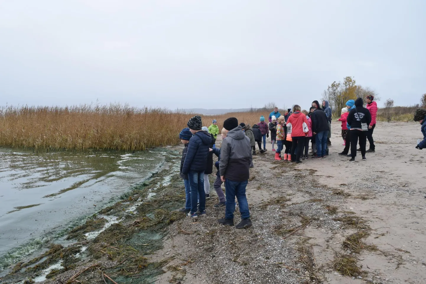 Lindi lasteaia-algkooli merebioloogia ringi lapsed Valgerannas.