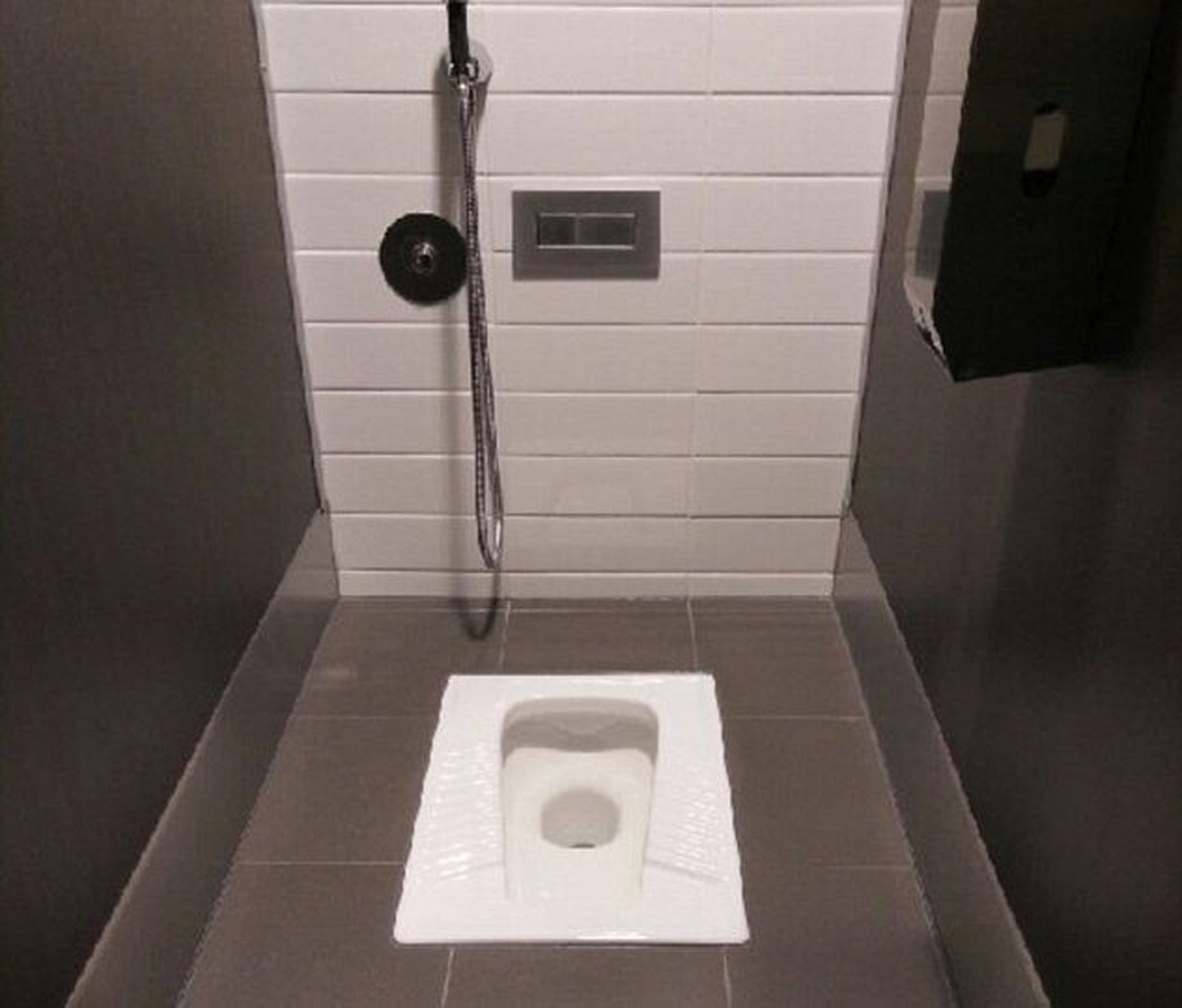 Tulles vastu alternatiivkultuuri viljelejatele, varustati Austraalia maksuameti uus hoone WC-kabiinidega, kus kempsupott on paigutatud põranda sisse. Ihuhädade rahuldamisel pidavat need isegi tervisele kasulikumad olema.