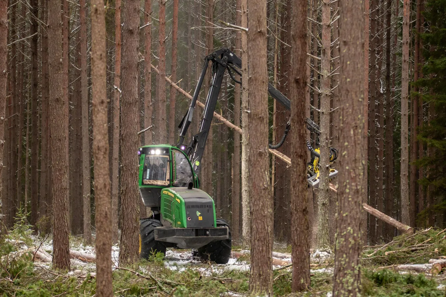 Raietöödel elektriliinide lähistel tuleb olla ettevaatlik.