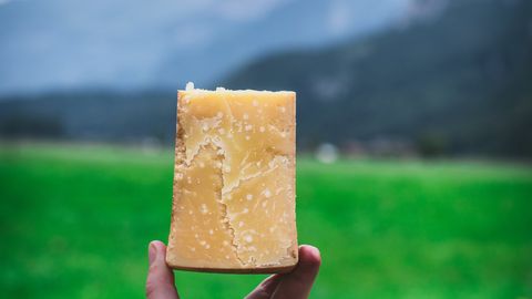 Venemaa: Šveits tarnis tänavu meile 1200 tonni juustu