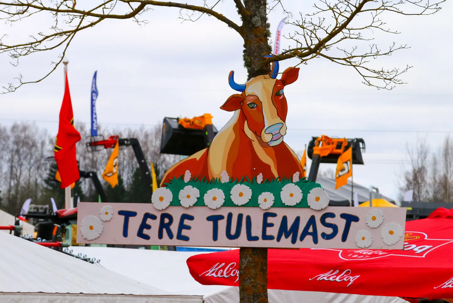 Nii kutsus külla eelmise aasta Maamess.
