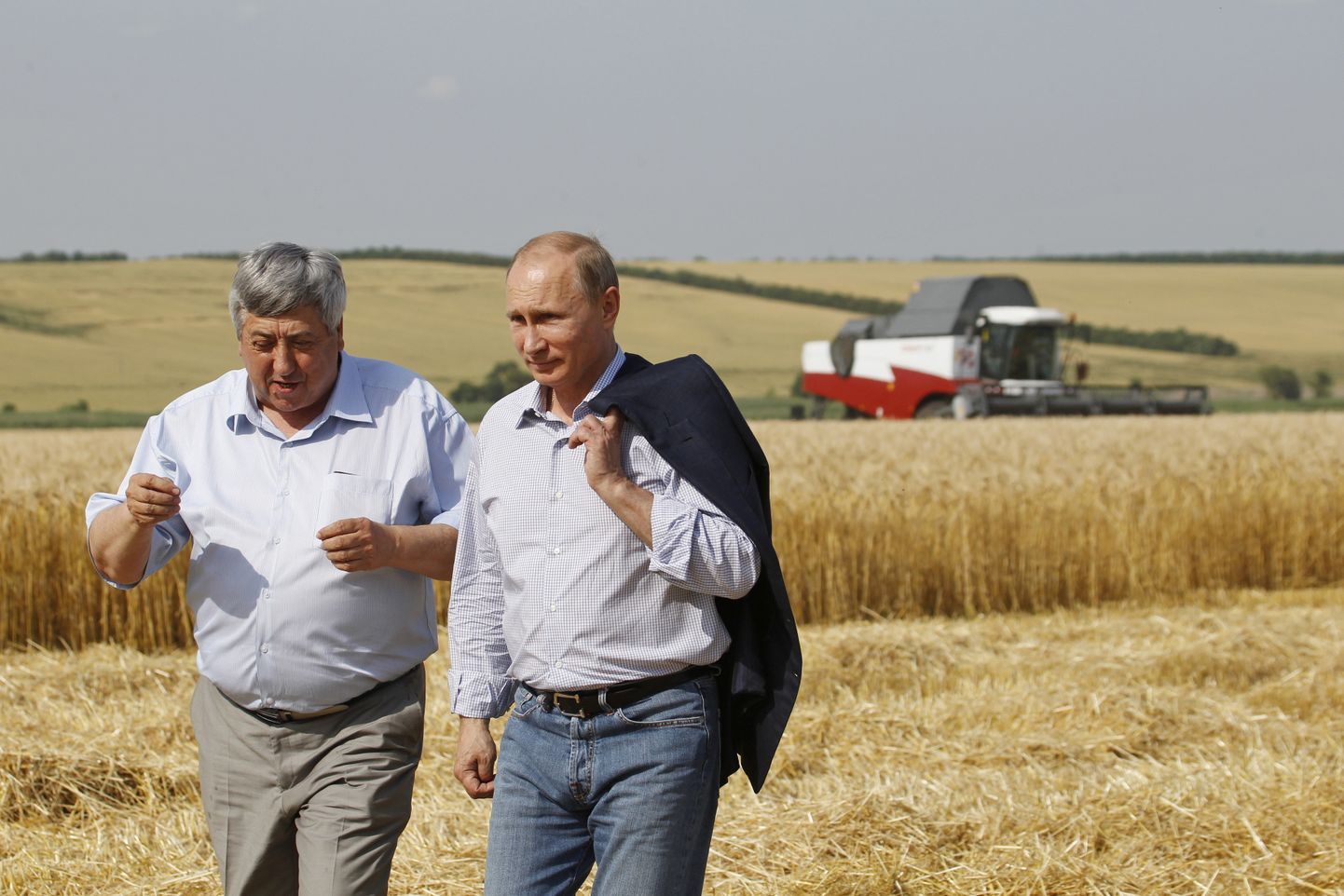 Venemaa president Vladimir Putin põllumaad külastamas.