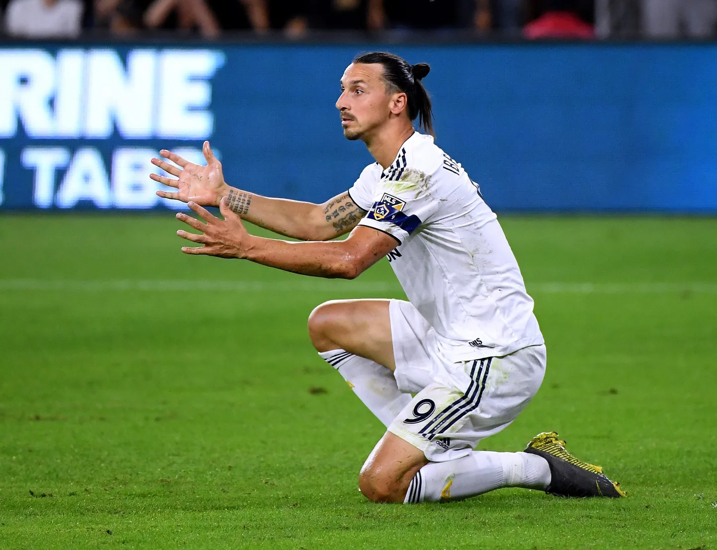 Zlatan Ibrahimovic veel Los Angeles Galaxyt esindamas.
