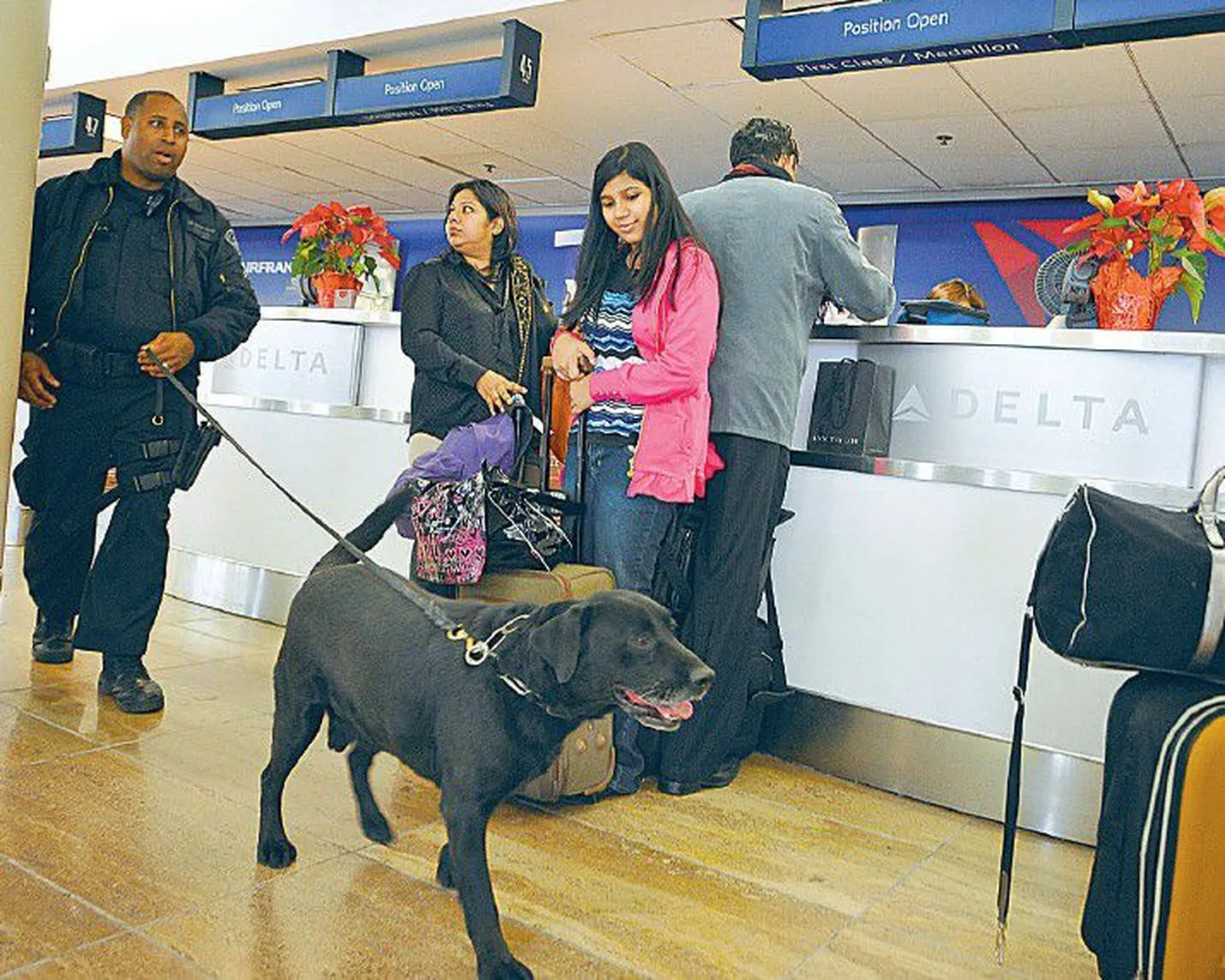 Американский полицейский со служебной собакой в аэропорту Лос-Анджелеса. В субботу, после попытки теракта, власти США распорядились усилить меры безопасности на всех внутренних и международных линиях.