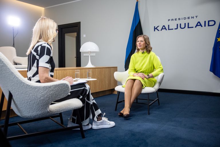 Kersti Kaljulaidi sõnul ei tee riigikogu oma tööd nii, nagu peaks tegema.