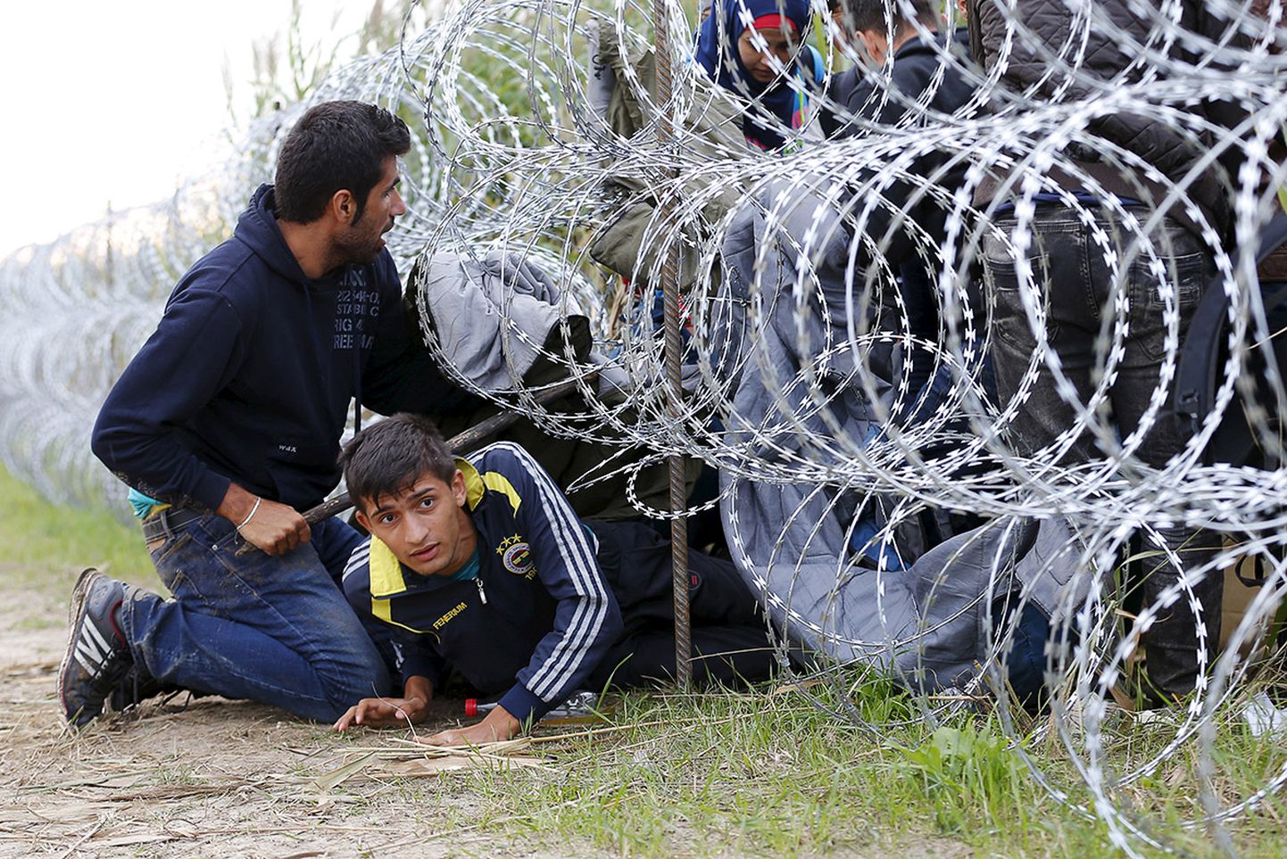 KAVALUS APPI: Moslemitest pagulased läbimas esimesi piiritõkkeid Ungari-Serbia piiril. Kõik tehakse vaid selle nimel, et pääseda Euroopa heaoluriikidesse. 
Usnews.com
