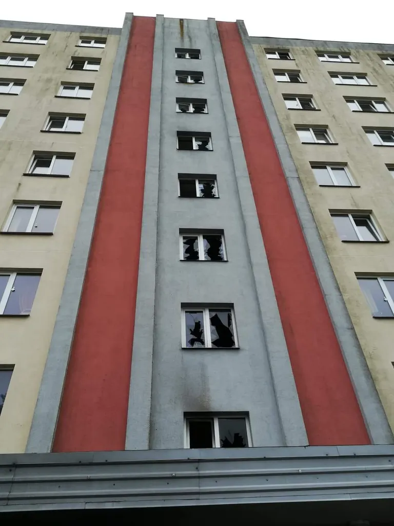 Фото статьи