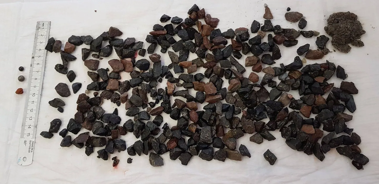 Kolmveerand kilo kivikesi koera maos ja soolestikus oli kogus, millega looma organism iseseisvalt toime ei tulnud.