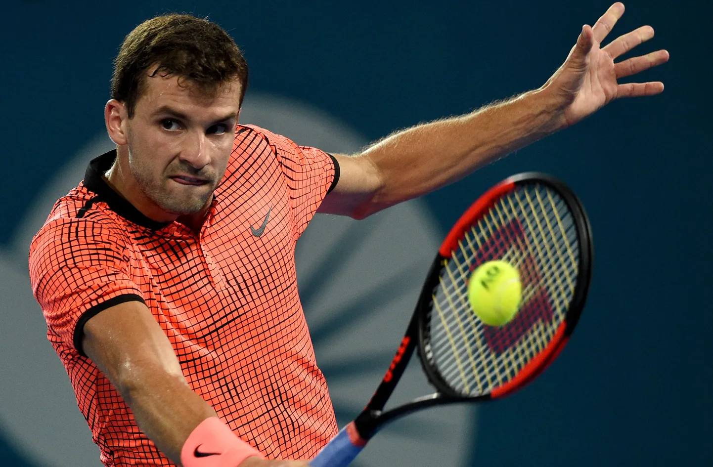 Grigor Dimitrov.