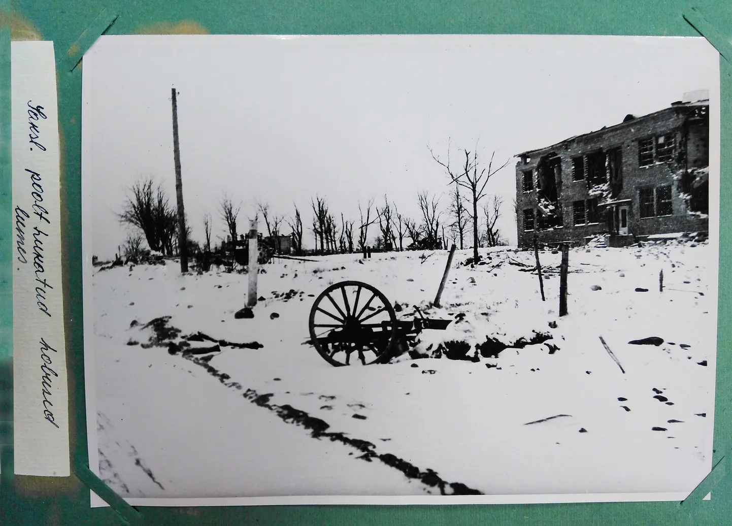 SÕRVES HUKATUD HOBUSTEST on Riigiarhiivis ainult üks foto (vasakul), mille tegi 1945. aasta jaanuaris Kaarmalt pärit fotograaf Feodor Olop. Olop tegi kümneid fotosid vabariiklik komisjoni tellimusel, mis oli kokku pandud “saksa fašistlike sissetungijate ja nende kaasosaliste roimade ja nende poolt tekitatud kahjude uurimiseks”.