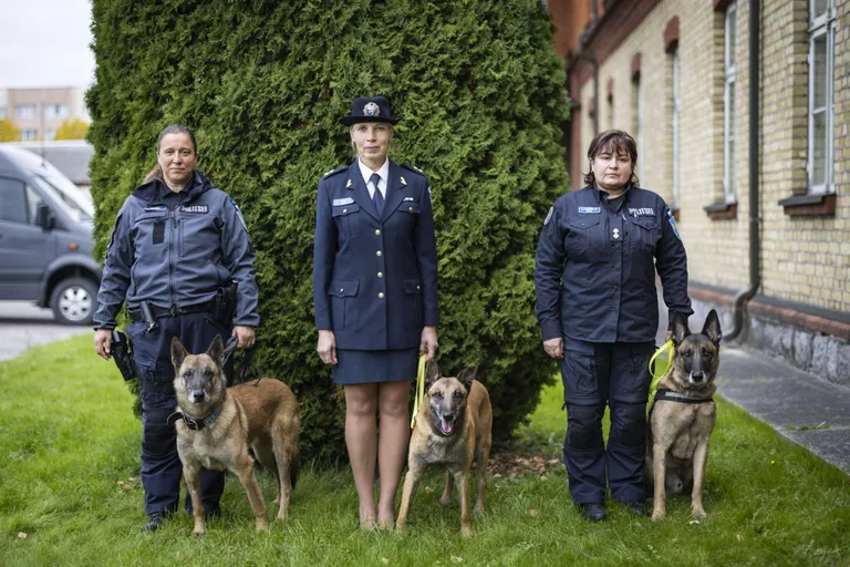 Teenistuskoerad Olli, Willy ja Vahva koos koerajuhtidega pensionile saatmise peol.