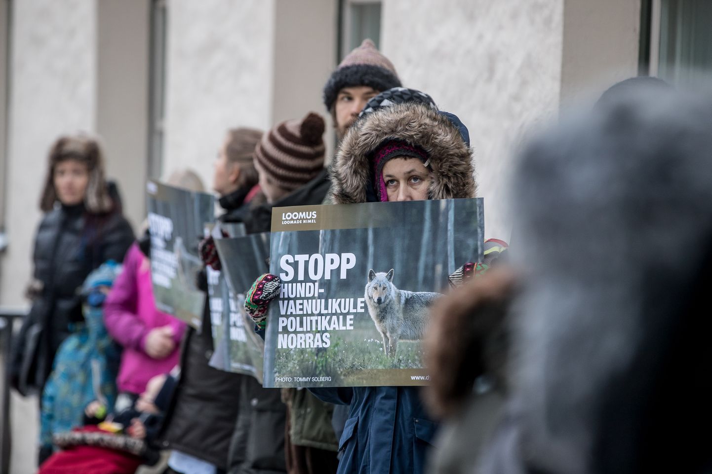MTÜ Loomus meeleavaldus huntide tapmise vastu Norra saatkonna ees.