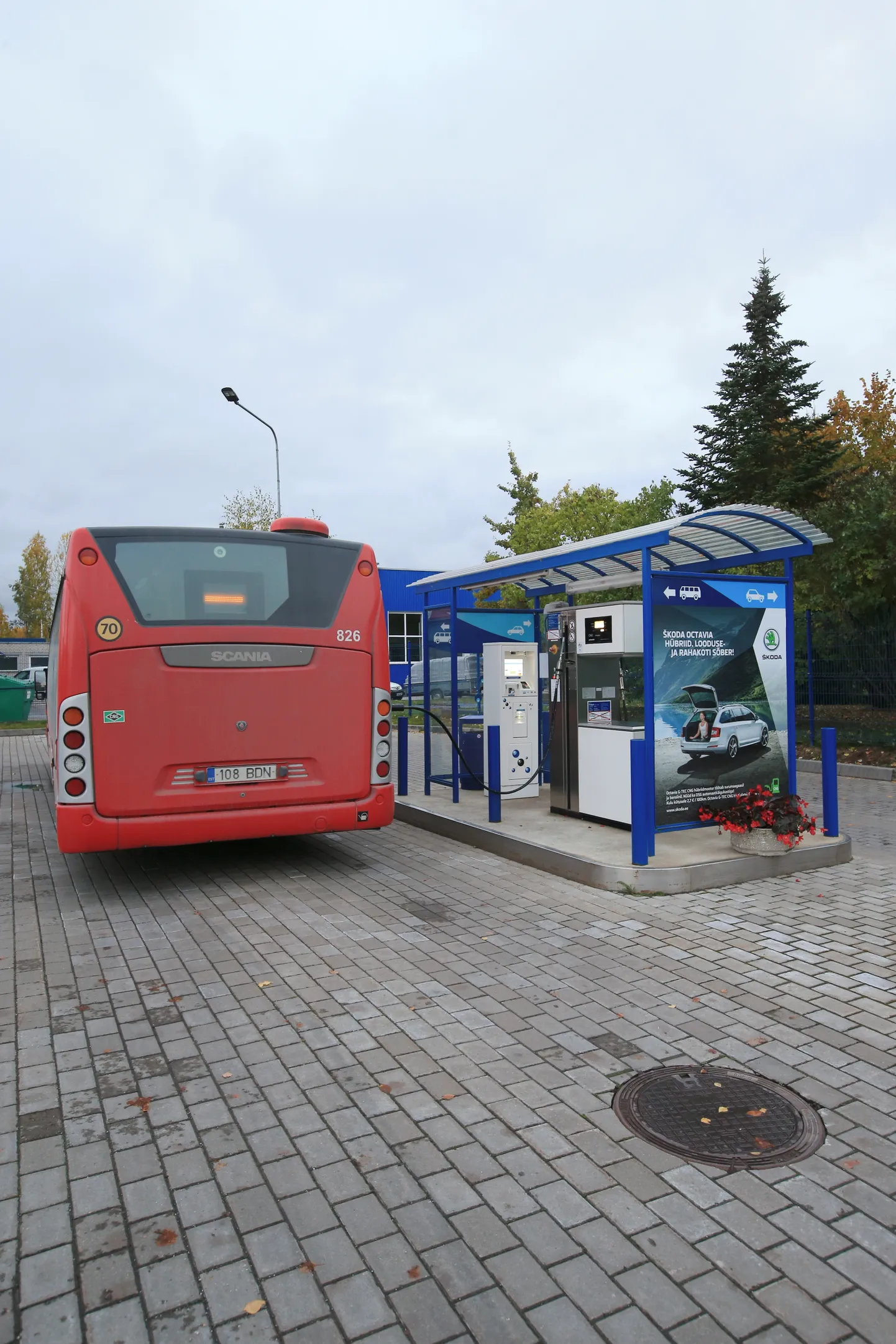 Buss.