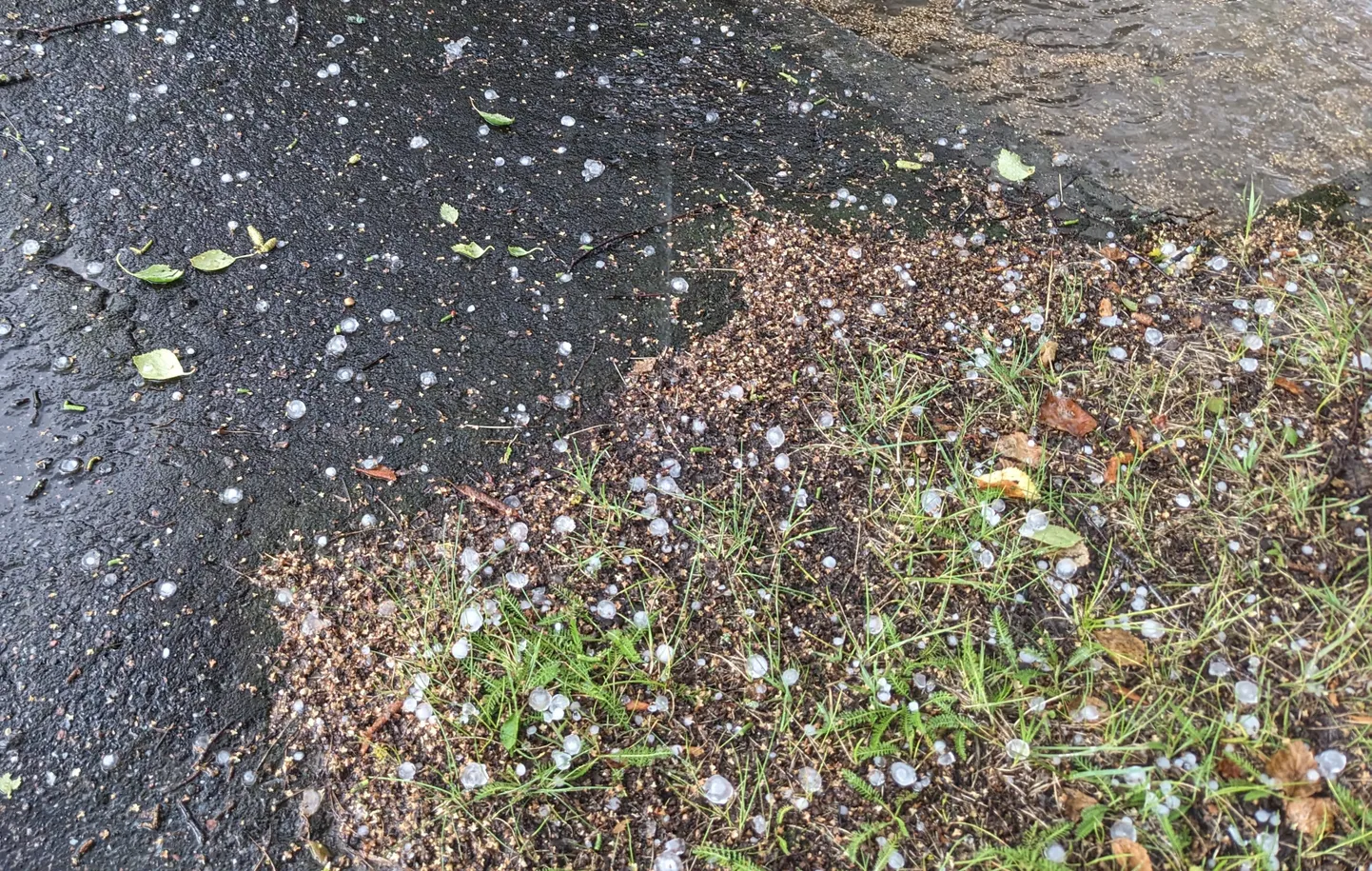 Paides alla sadanud rahe kattis maa ajutiselt näpuotsasuuruste jääkuulidega.
