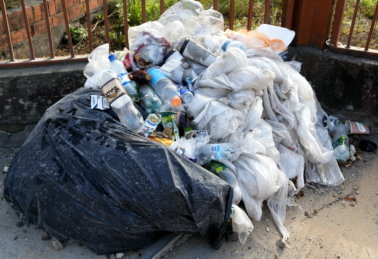 Raksta foto