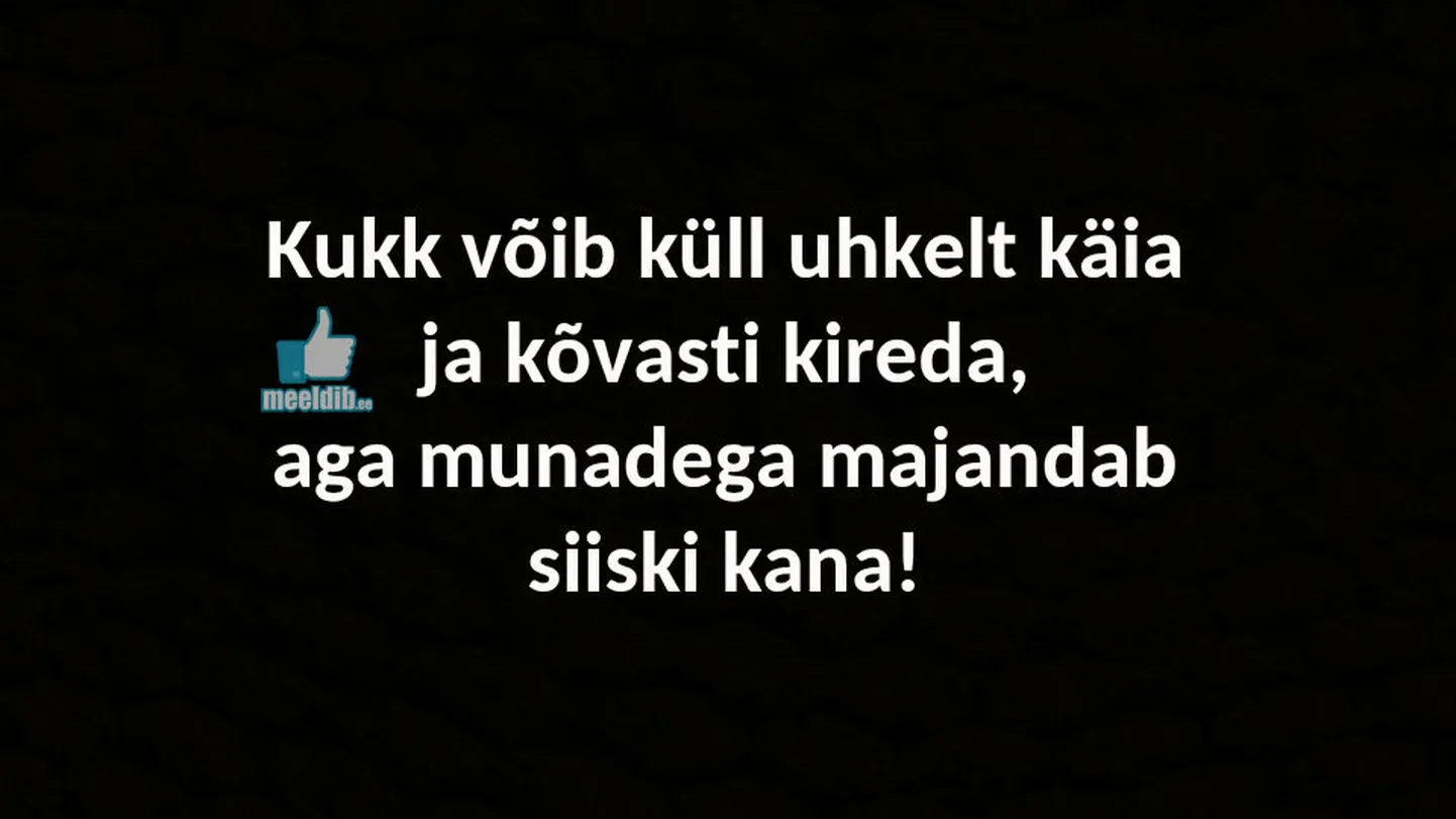 Artikli foto
