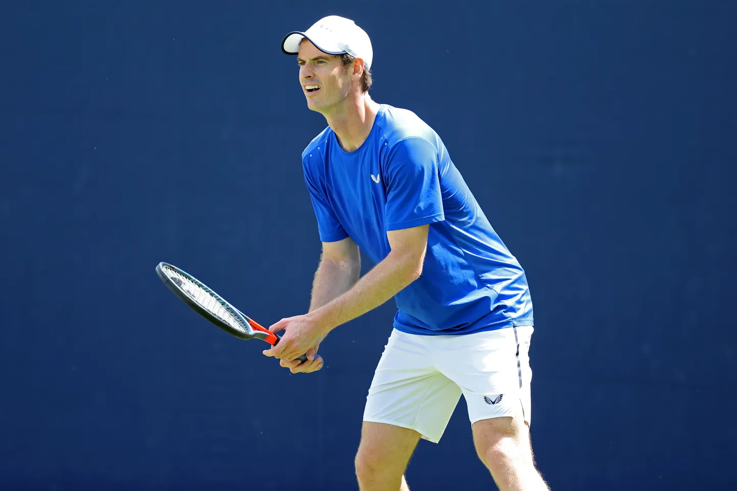 Andy Murray.