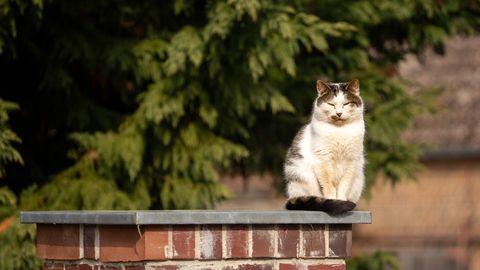 Naktī uz ceturtdienu gaiss Latvijā vietām atdzisīs līdz pat -5 grādiem