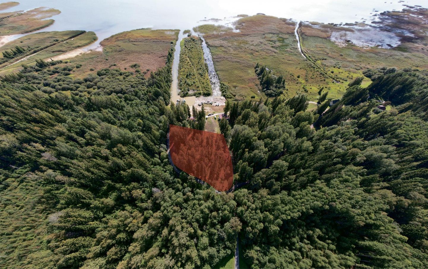 Paadikuur on kavas ehitada Võrtsjärve äärde fotol oranžina näidatud metsatuka asemele.