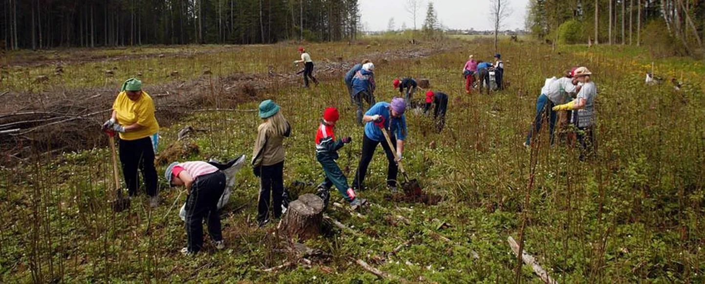 Õpilased istutavad metsa.