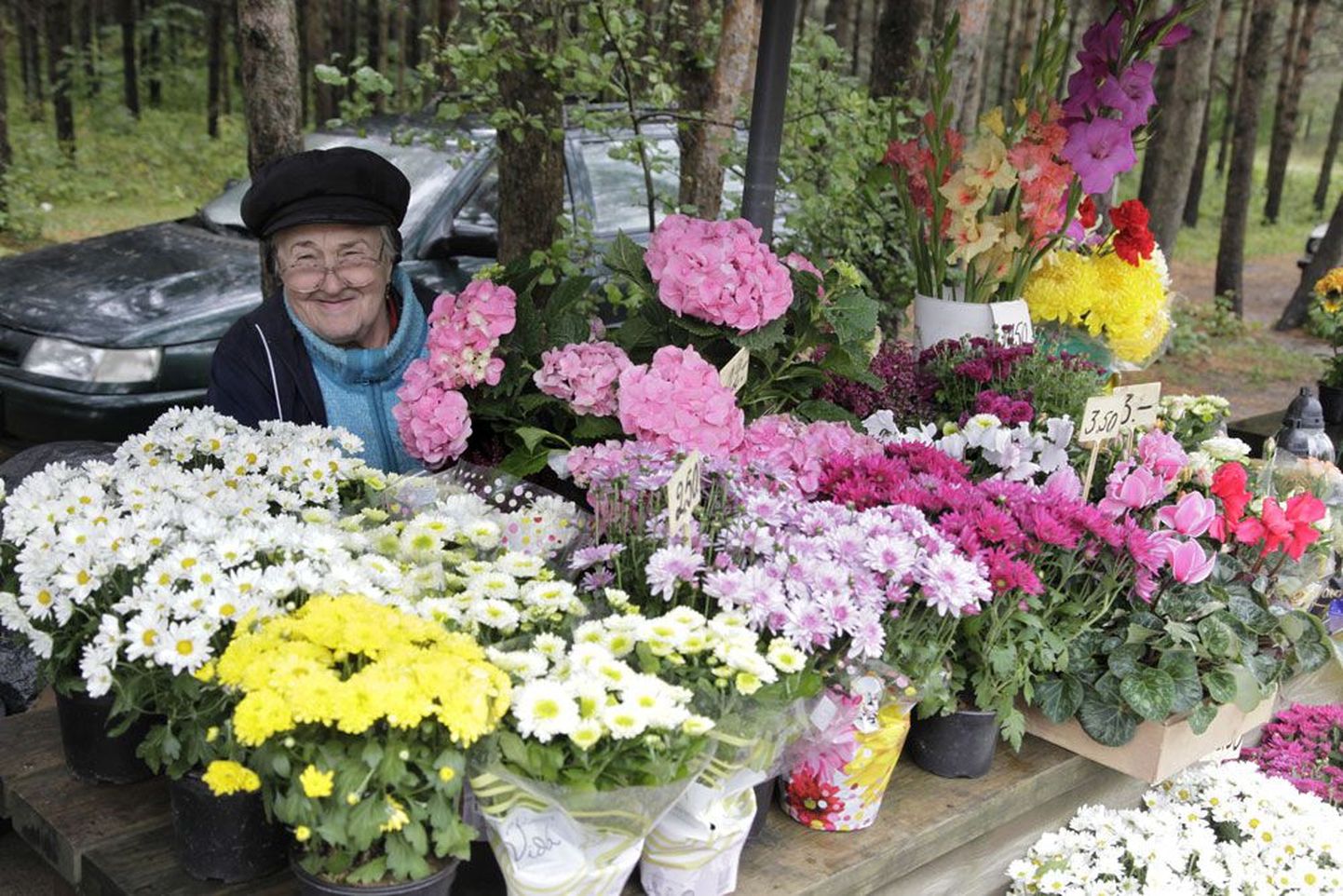 Tallinnas Pärnamäe kalmistu juures üleeile lilli ja pärgi müünud Saima sõnul on tema leti laialdasest valikust kõige populaarsemad krüsanteemid ja alpikannid.