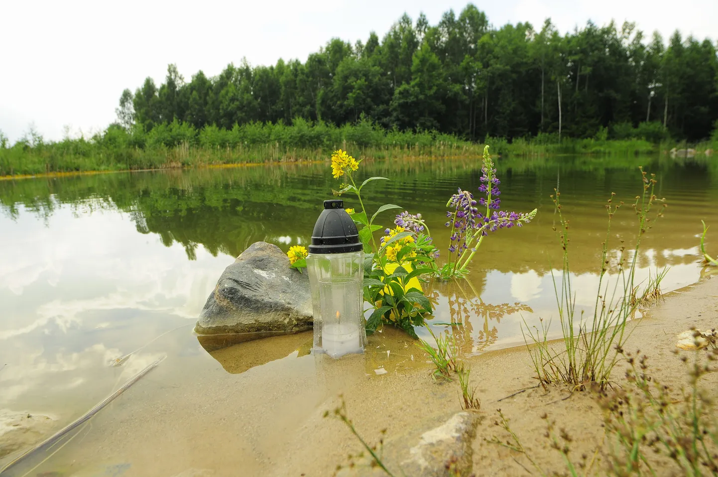Voore külalistemaja tiik Jõgevamaal Saare vallas.