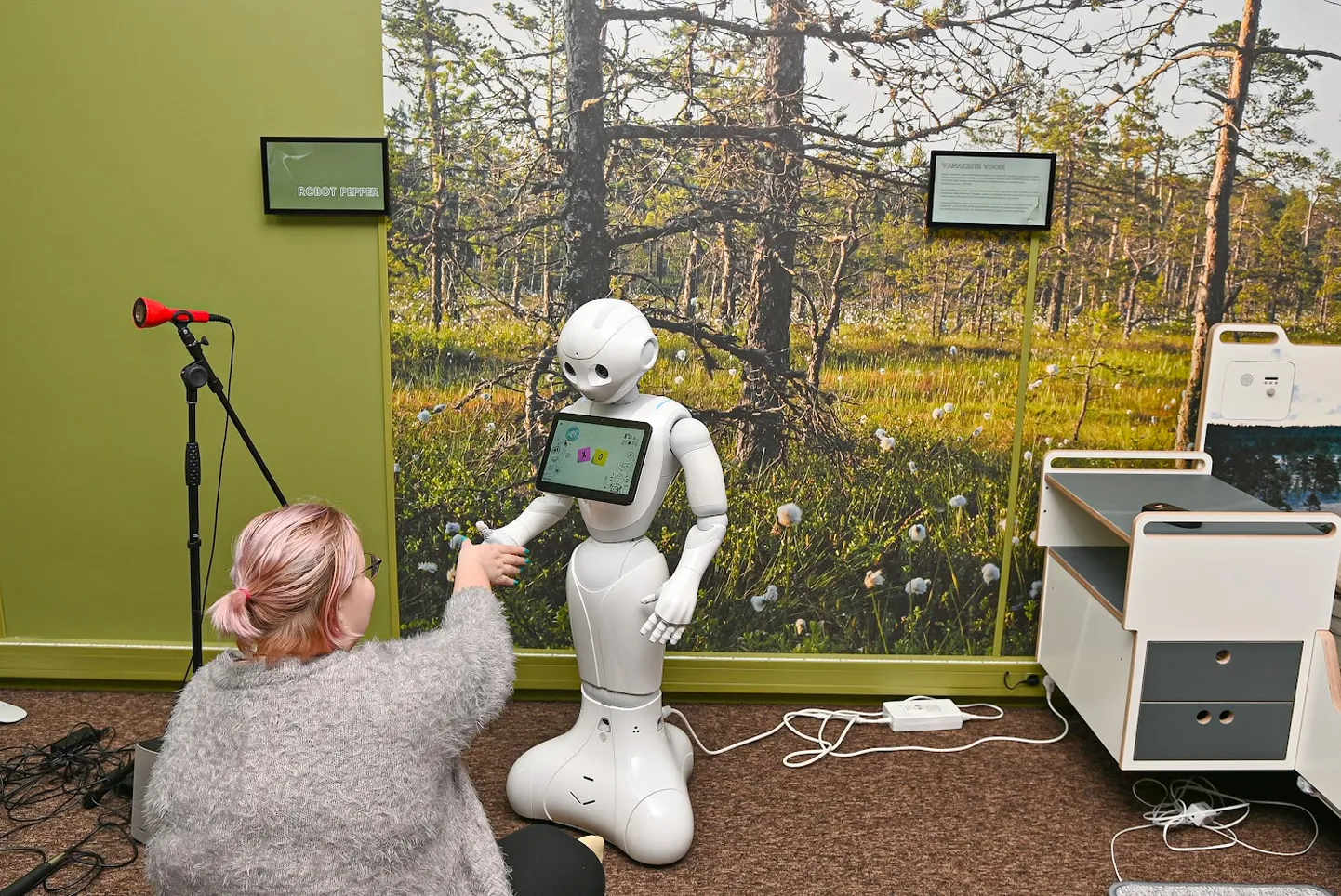 Suhtlusroboteid kasutatakse sotsiaaltöö õpetamisel palju. See robot asub  Tallinna Tehnikakõrgkooli sotsiaaltöö laboris Mõdrikul.