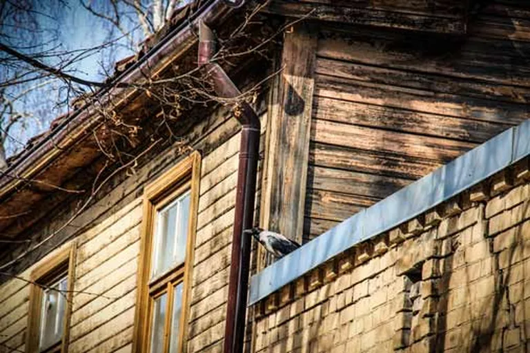 Фото статьи