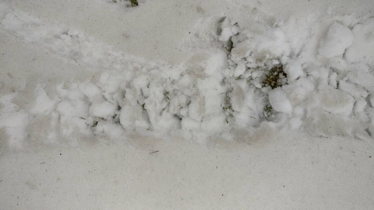 Rakvere Kalda tänaval on lumi kummalist värvi. Kohalikud elanikud arvavad, et saaste võib olla pärit piiritustehasest.