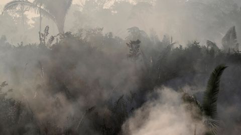 ÜRO väljendas sügavat muret seoses Amazonase metsapõlengutega