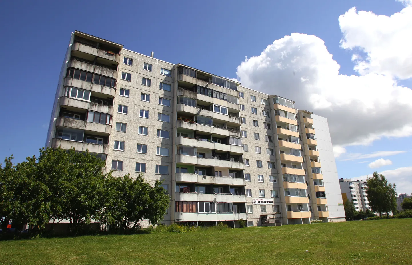 Фото статьи
