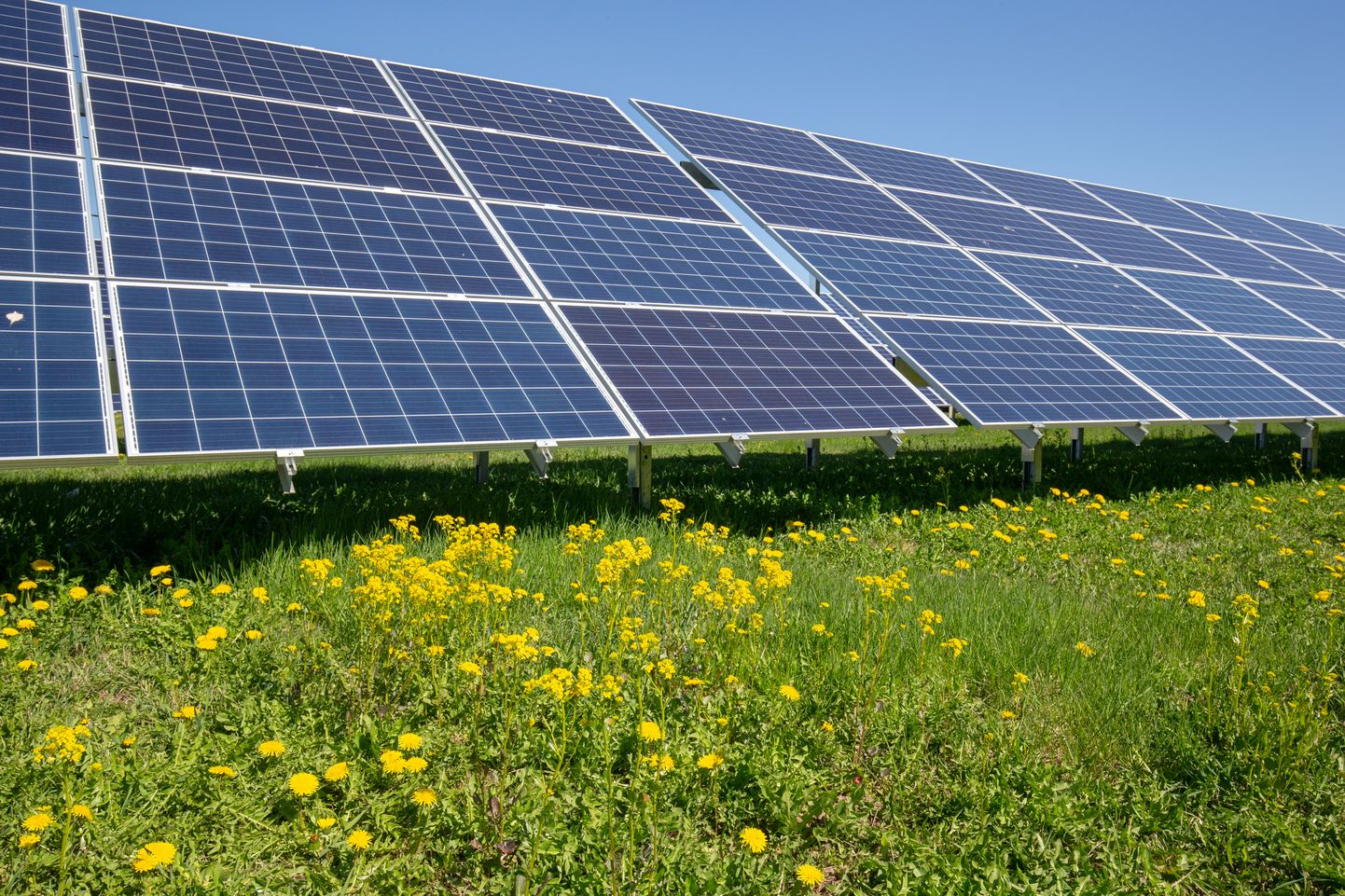 Swedbank pakub päikesepaneelide ostuks või paigalduseks maksimaalselt 10-aastase laenuperioodiga tarbimislaenu.