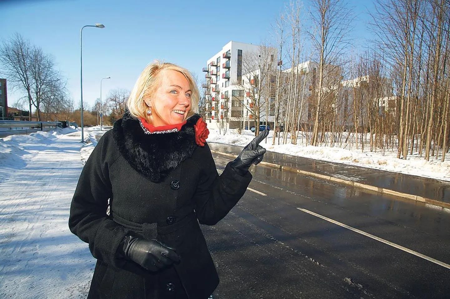 Pärnu loodus- ja tehnikamaja direktori Tiina Rossi sõnutsi kasvab keskkonnahariduskeskuse krundil mitukümmend liiki puid, millest osa kindlasti säilitatakse.