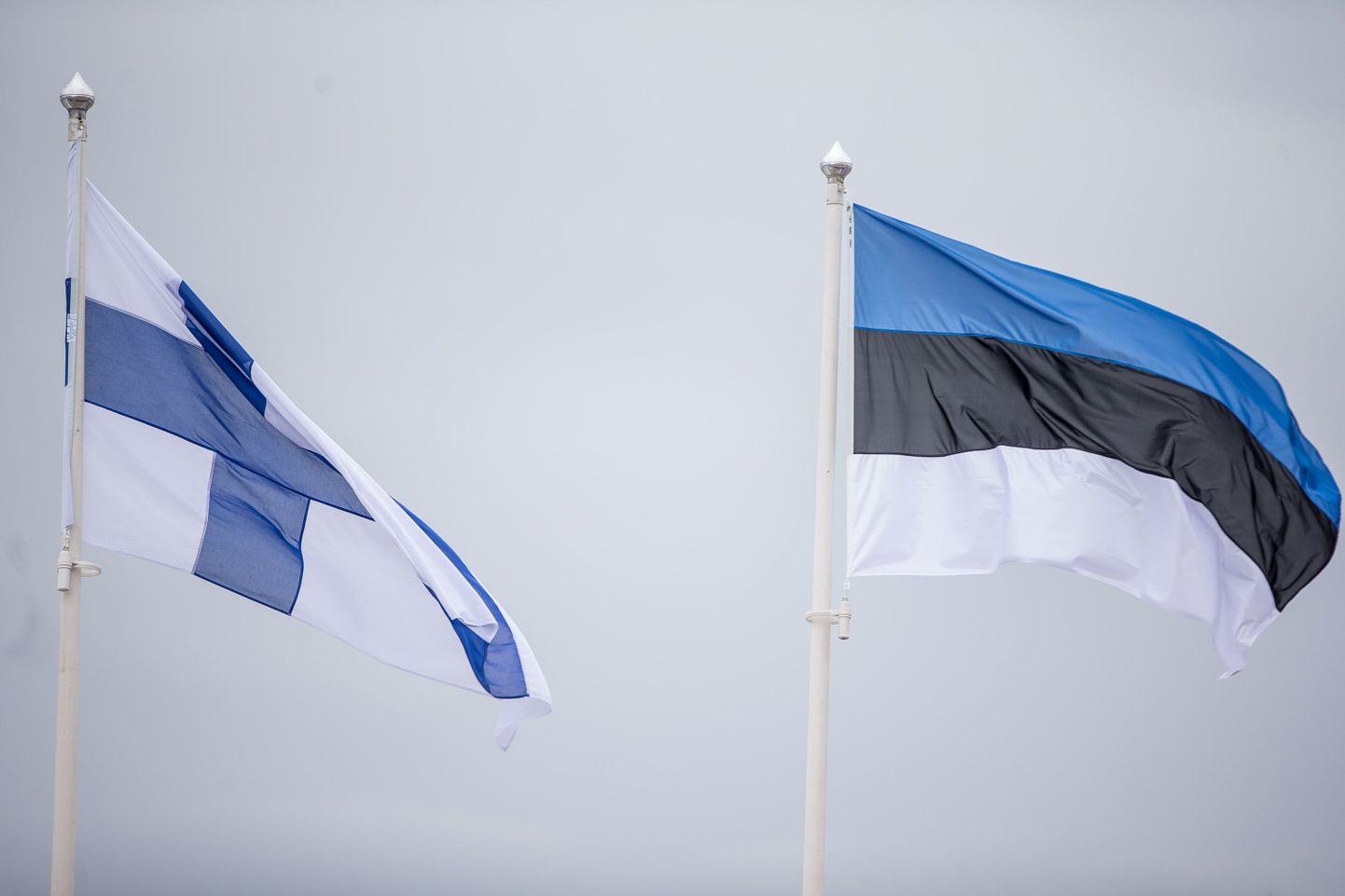 Soome ja Eesti lipud.