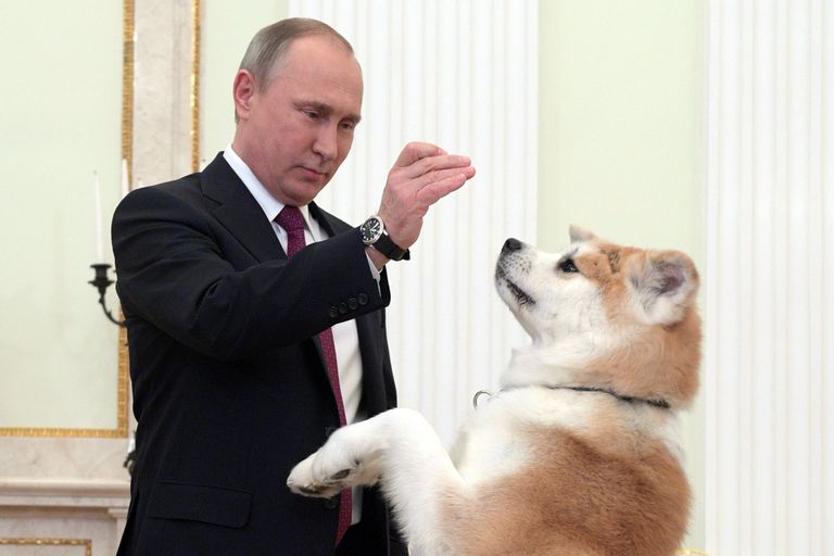 Putin mängib koeraga. Foto: Alexei Drušinin/TASS/Scanpix