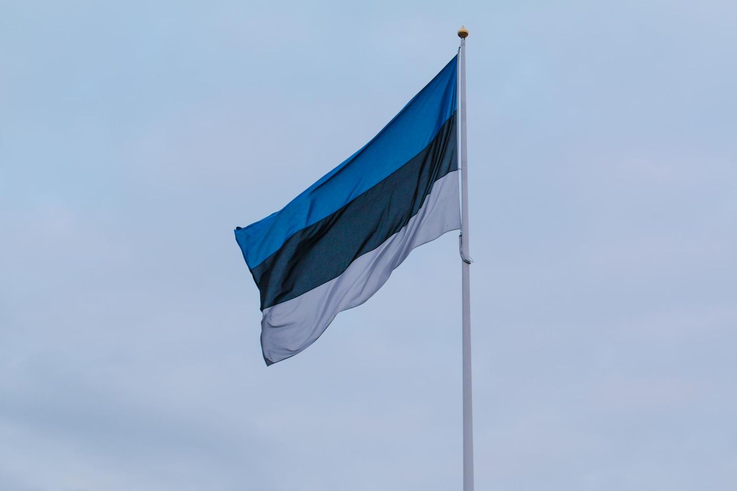 Homme, 1. septembril heisatakse teadmistepäeva puhul Eesti lipud.