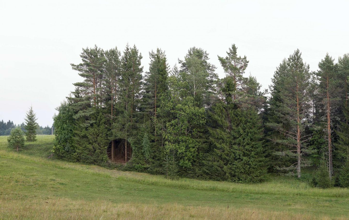 Soome kunstniku Antti Laitineni teos «Broken landscape» kuuenda kunstiresidentuuri «Metsikud bitid» esimeselt näituselt Maajaamas aastal 2018.