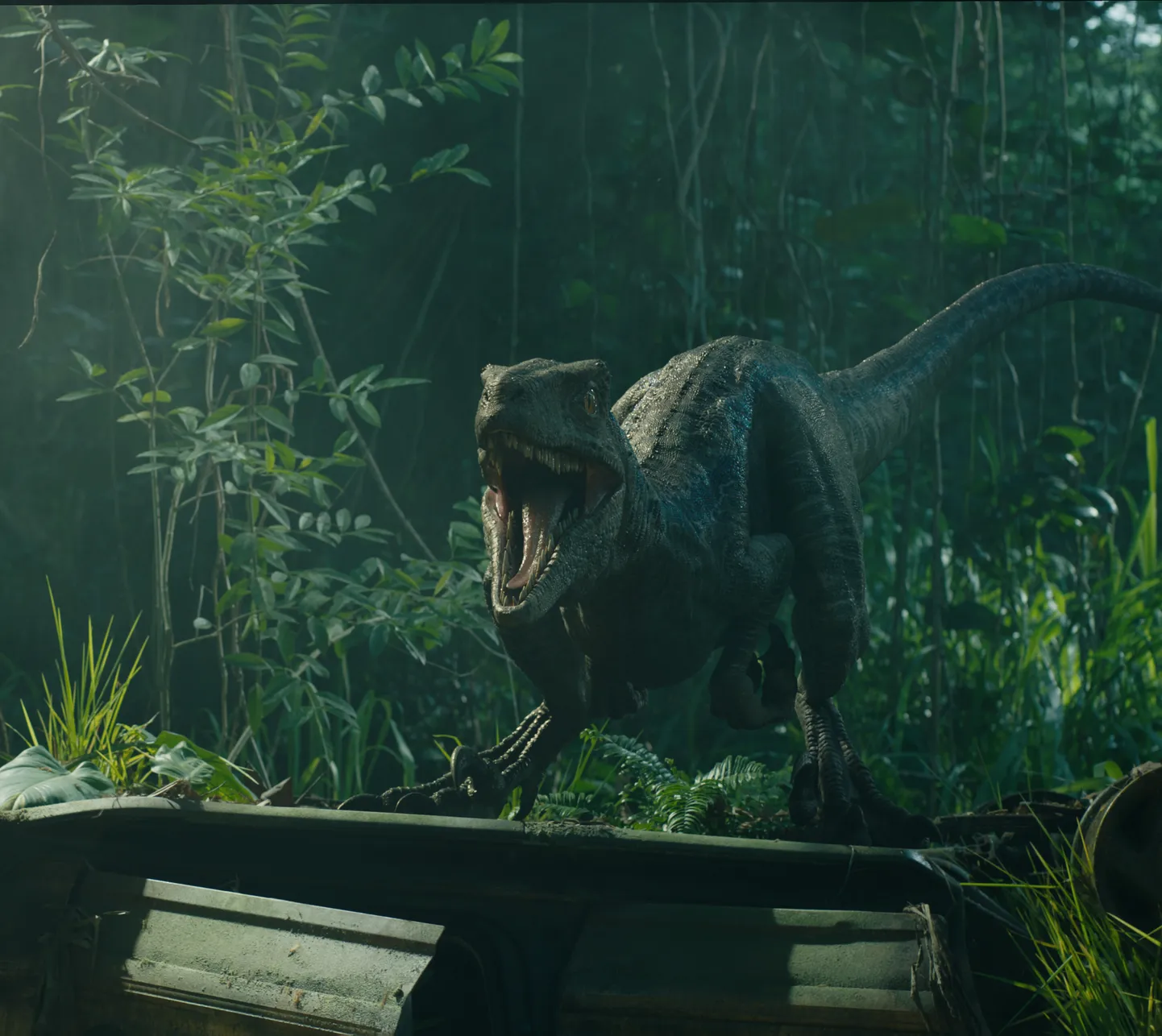 Kaader filmist «Jurassic World: Fallen Kingdom» (2018). Pildil on velociraptor