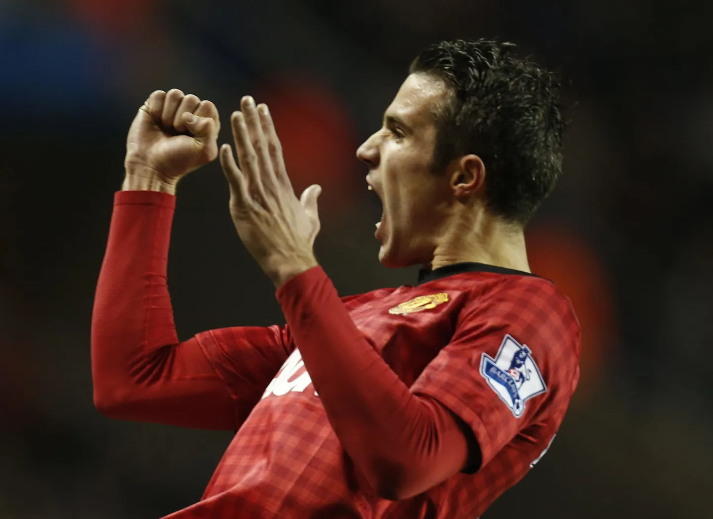 Robin van Persie väravat tähistamas.