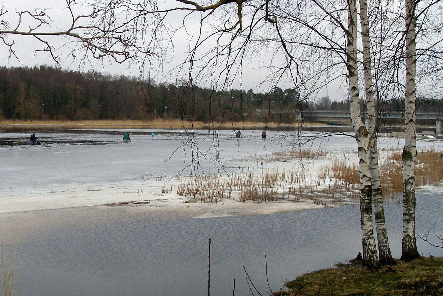 Kalamehed Pärnu jõel õhukesel jääl. Foto on illustreeriv.